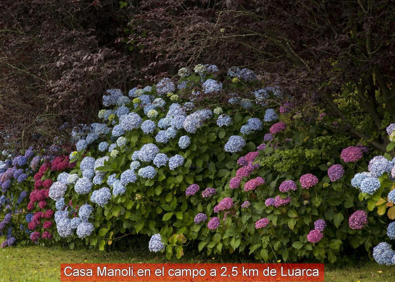 Casa Manoli Luarca Guest House Almuna ภายนอก รูปภาพ